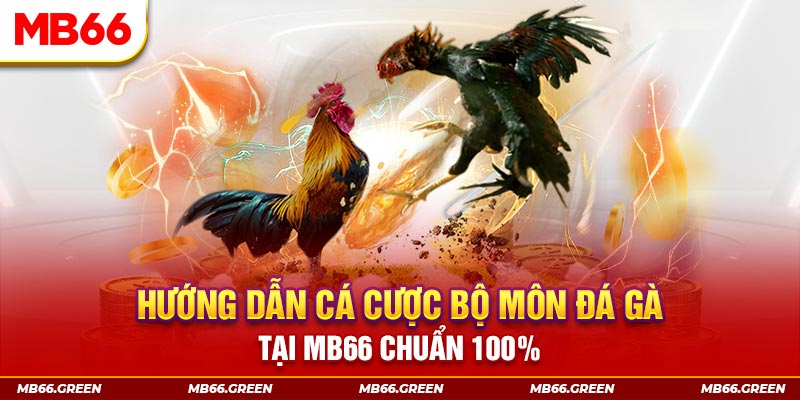 99 win slot là gi