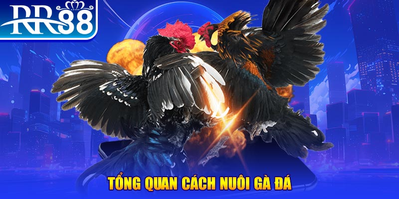 99 win game nổ hũ rút tiền mặt là gì