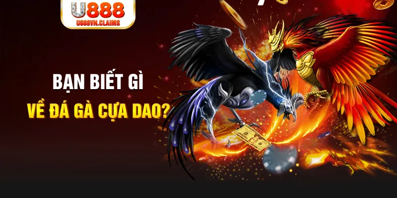 99 win SW Xổ Số
