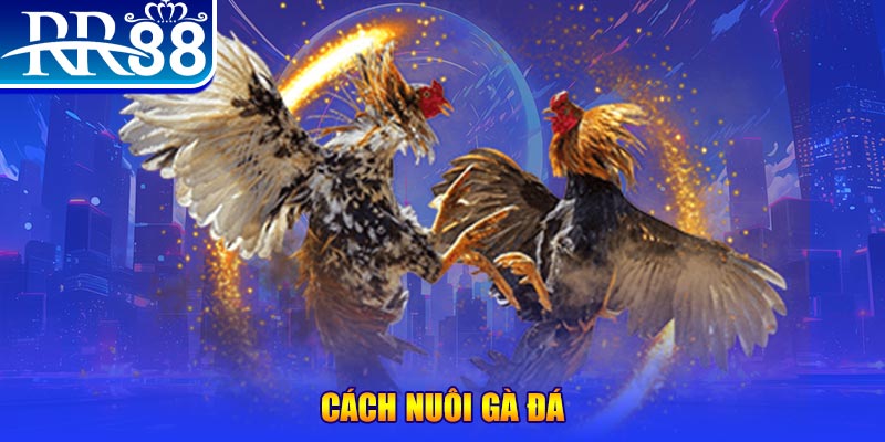 99 win đăng nhập phỏm đổi thưởng