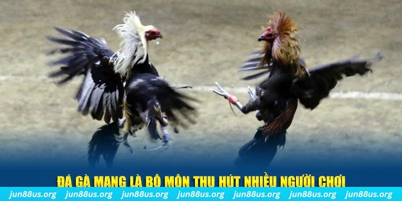 99 win nổ hủ nghĩa là gì
