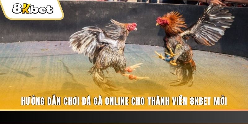 99 win JILI Game Bài 3d