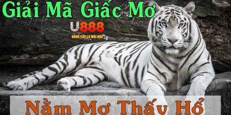 99 win xổ số miền bắc xổ số miền bắc