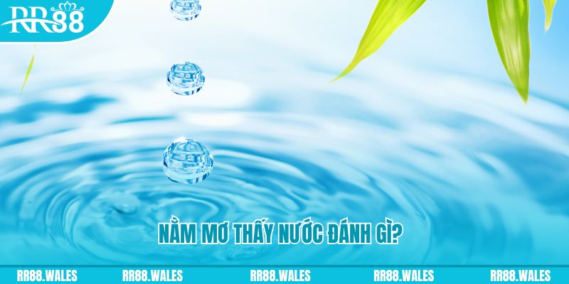 99 win TCG Xổ Số