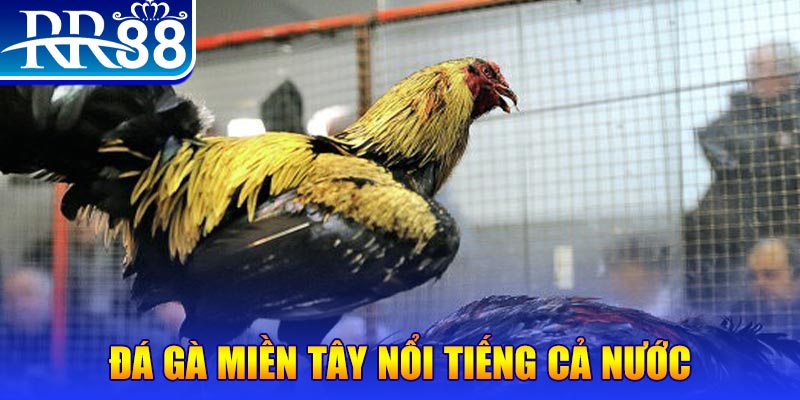 99 win xổ số đại phát