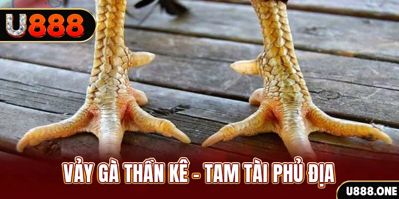 99 win xổ số miền trung thứ hai hàng tuần