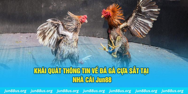 99 win xổ số miền bắc thứ bảy hàng tuần