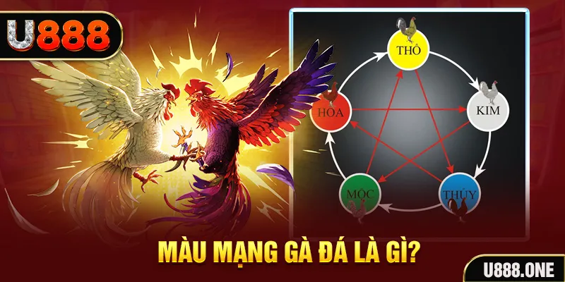 99 win xổ số miền trung thứ tư hàng tuần