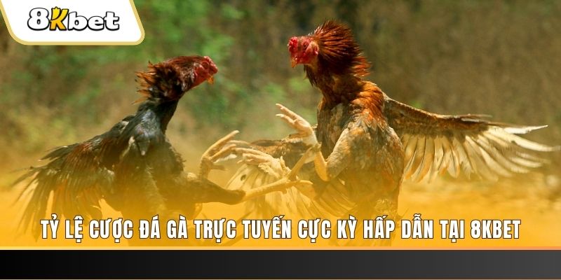 99 win đăng nhập nổ hũ trực tuyến