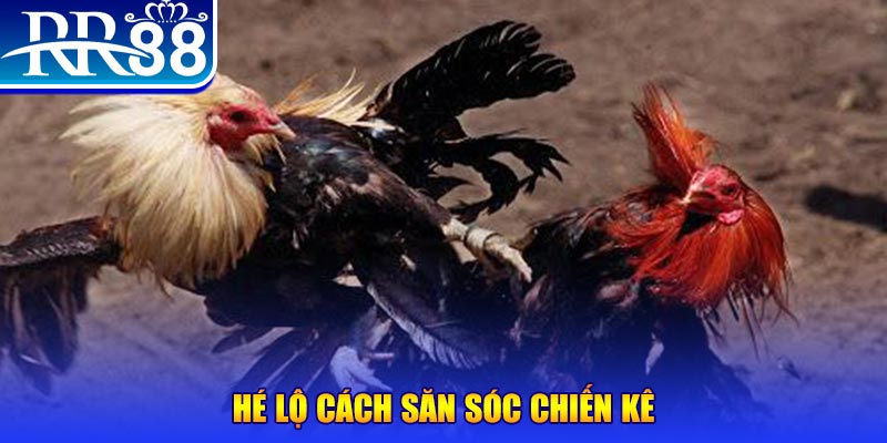 99 win xổ số miền trung thứ tư