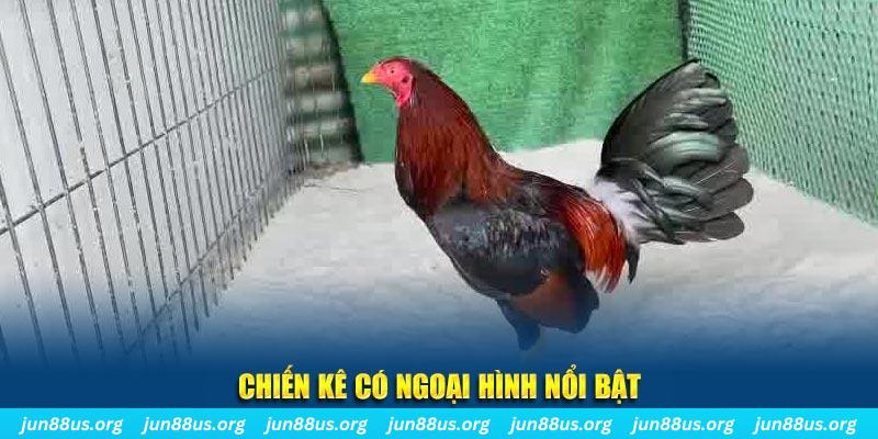 99 win game bắn cá