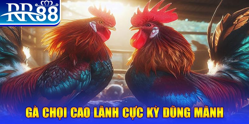 99 win HB Điện Tử