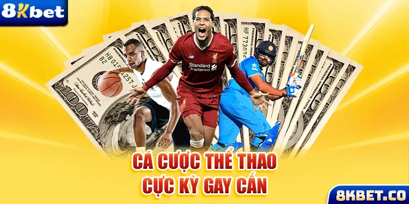 99 win xem đá gà trực tiếp